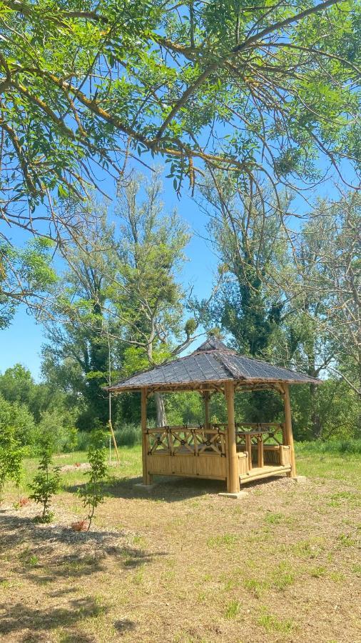 Domaine De Garabaud Ξενοδοχείο Mazères Εξωτερικό φωτογραφία